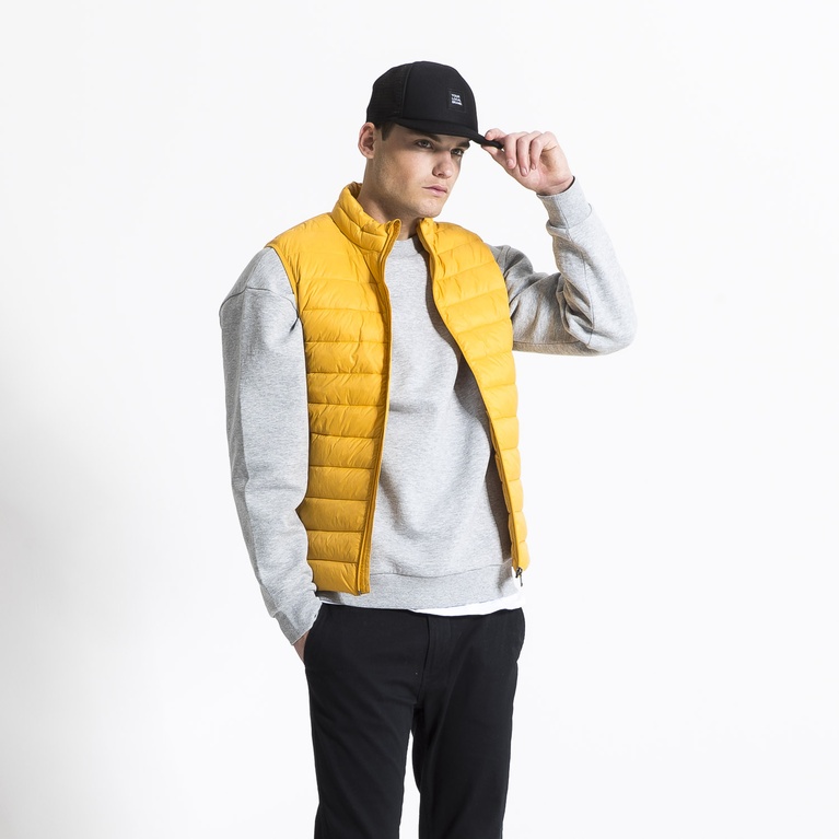 Vest "Vest" Vest "Vest"